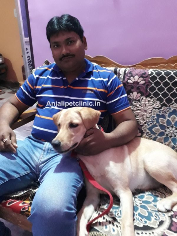 Happy Labrador pet owner in Ranchi