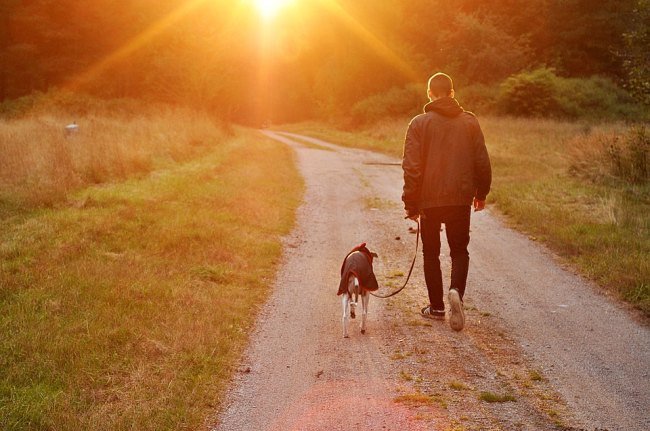 Things that dog owner should know