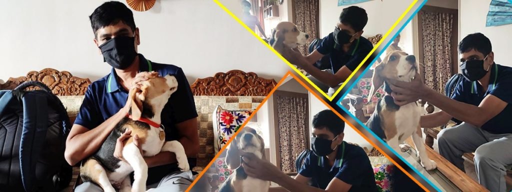 Dog vaccination services in Ranchi