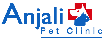 Anjali Pet Clinic Ranchi